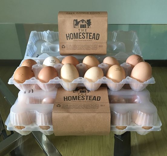 FreeRange Eggs (Jumbo) The Homestead