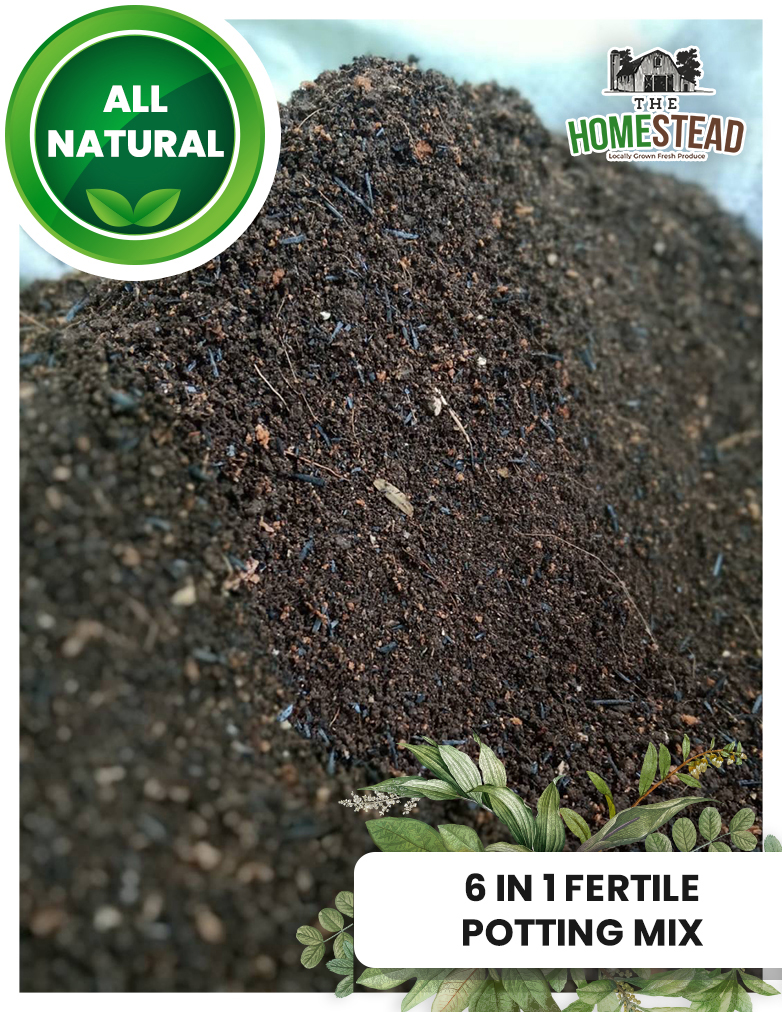 EMAS (Effective Activated Solution) The Homestead